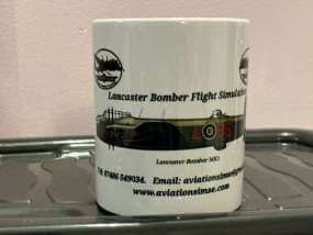 Customer Photo of Lancaster Bomber Flight Simulator